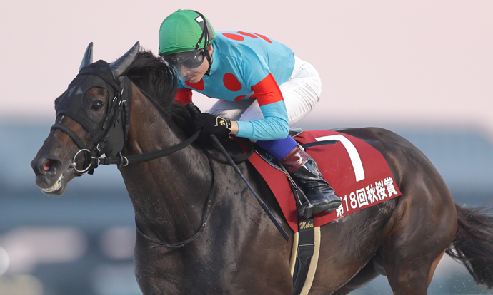 キャリックアリード