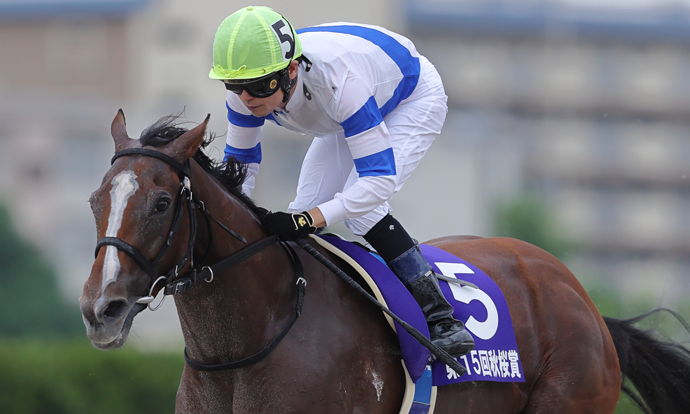 グランデストラーダ