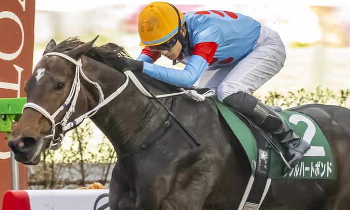 ダブルハートボンド